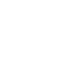 standards-icon04